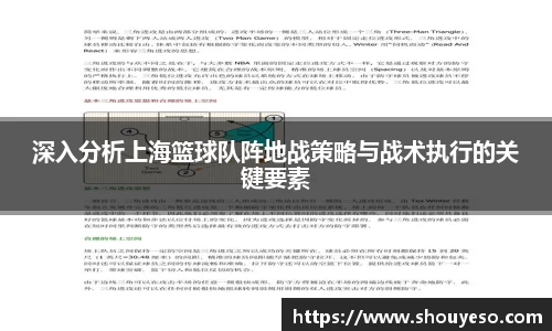 深入分析上海篮球队阵地战策略与战术执行的关键要素