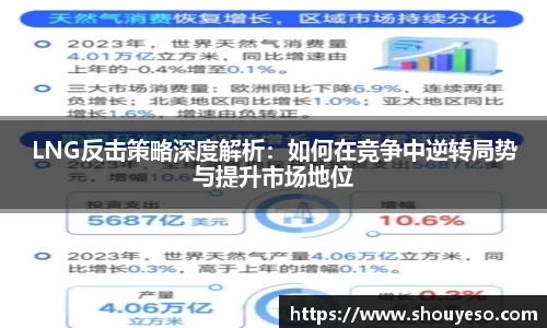 LNG反击策略深度解析：如何在竞争中逆转局势与提升市场地位