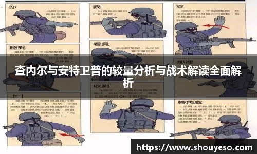 查内尔与安特卫普的较量分析与战术解读全面解析
