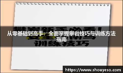 从零基础到高手：全面掌握攀岩技巧与训练方法指南